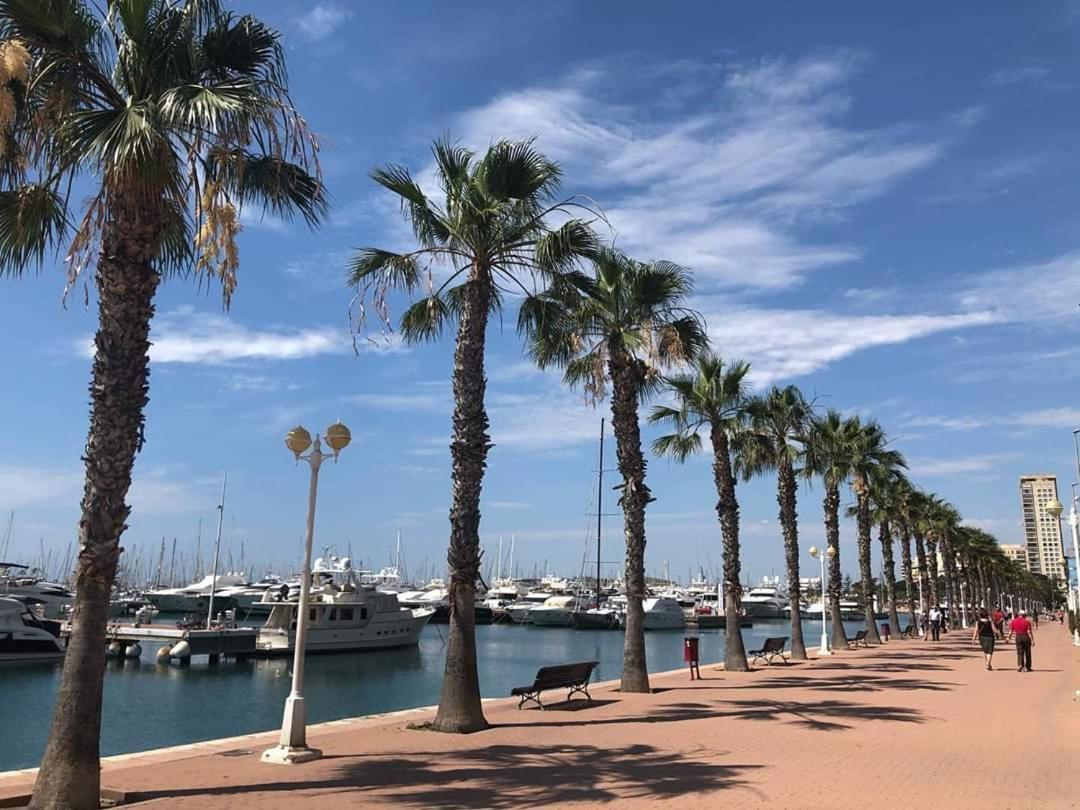 Apartamento Casaturis En El Corazon De Alicante A118 Eksteriør bilde